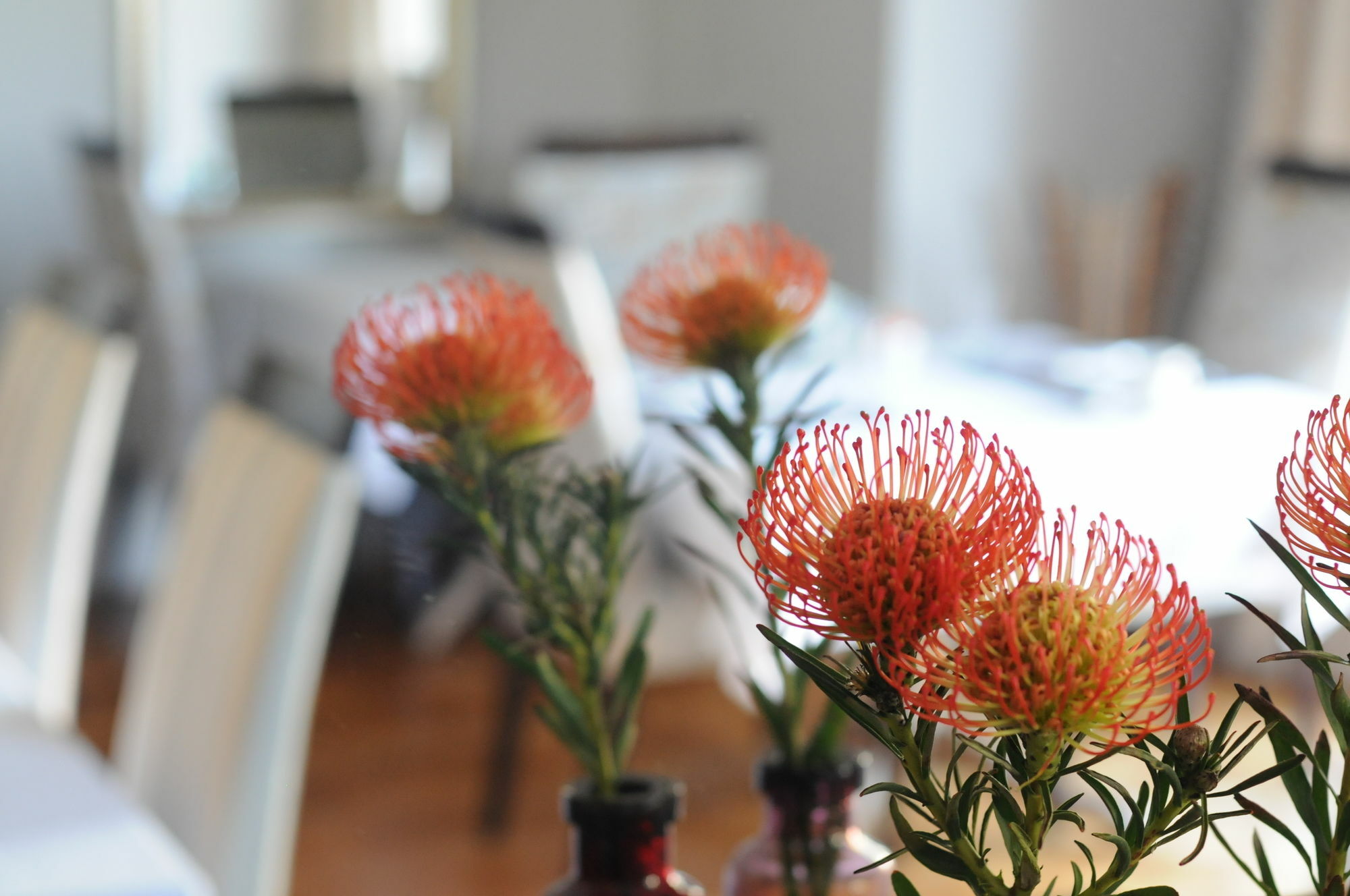 Abbey Manor Luxury Guesthouse Le Cap Extérieur photo